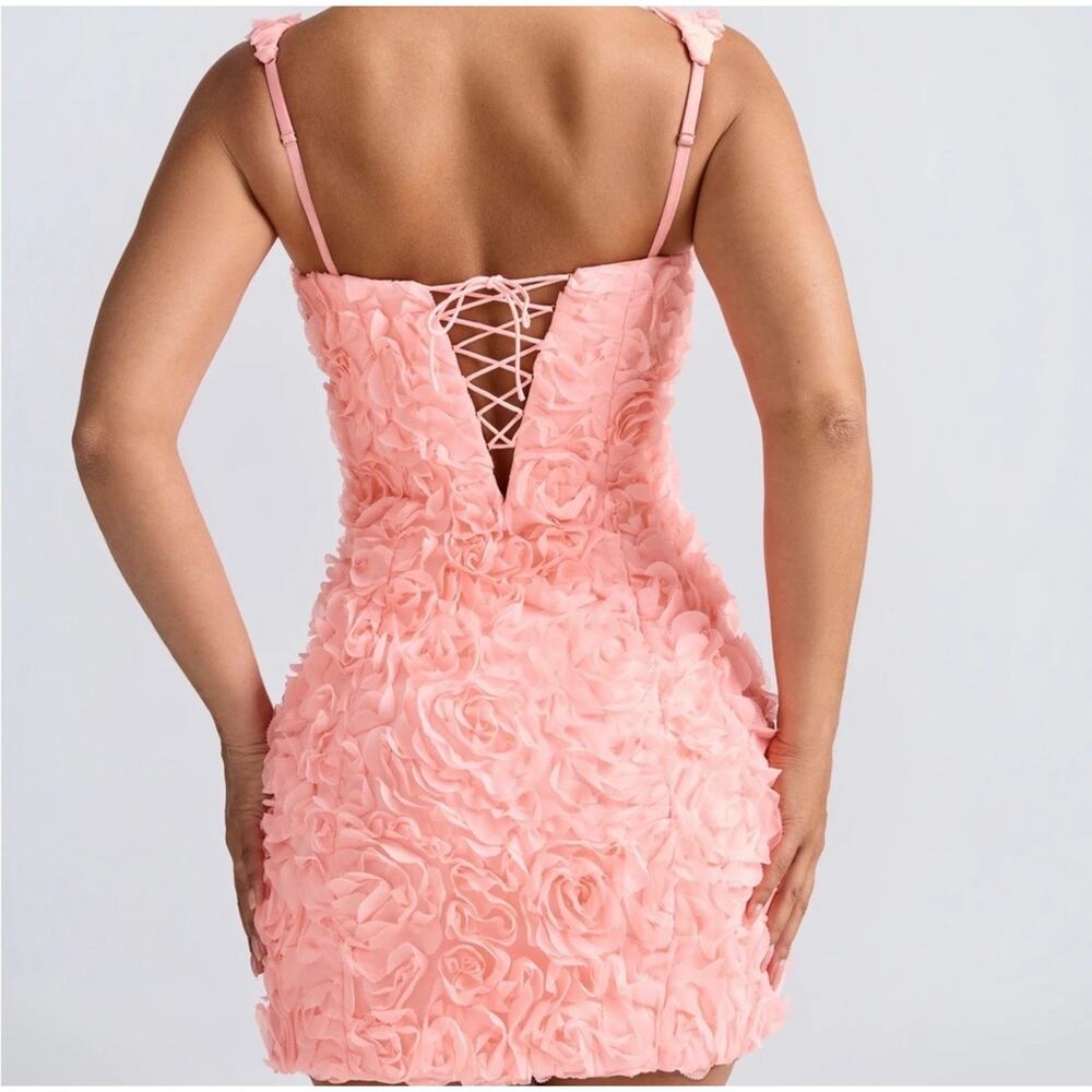 Oh Polly Posy Roses Pink Floral-Appliqué Corset Mini Dress in Coral Size 2 - Picture 3 of 9